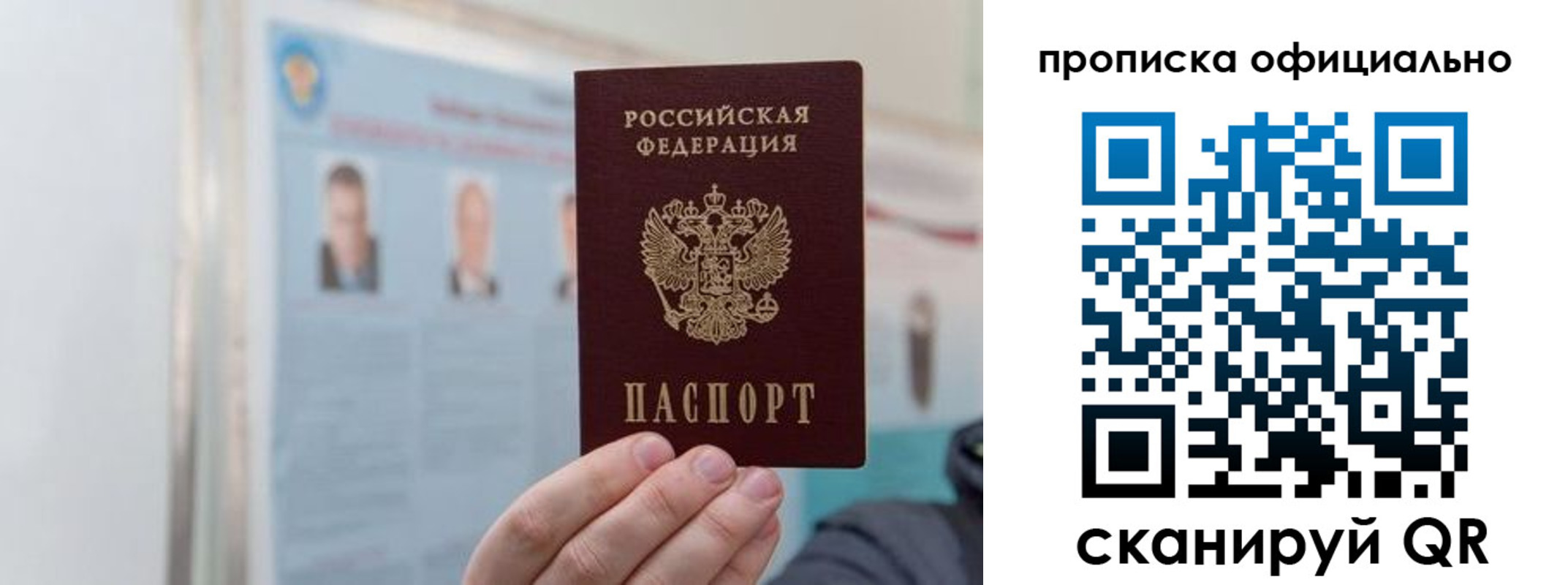 прописка гарантия в Советске